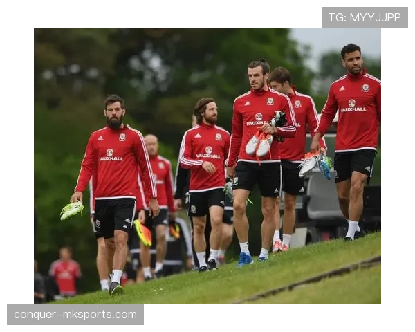 瑞士多语种球队状态回升,全力捍卫国家荣誉 瑞士多语种球队状态回升,全力捍卫国家荣誉